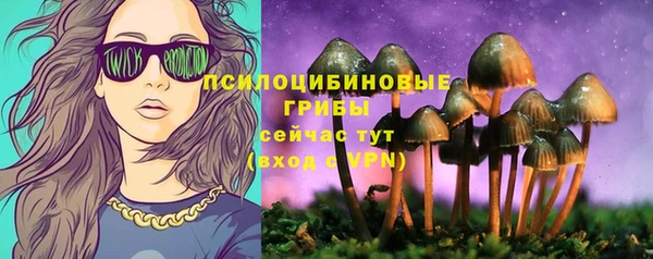 МДМА Бородино